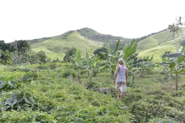 Bay Of Plenty Nature Lodge Nanuya Lailai Ngoại thất bức ảnh