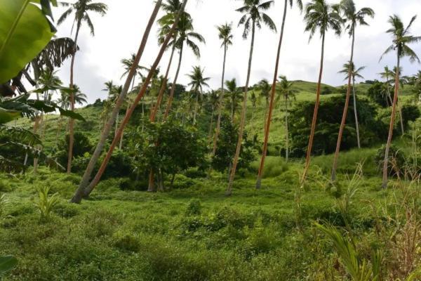 Bay Of Plenty Nature Lodge Nanuya Lailai Ngoại thất bức ảnh